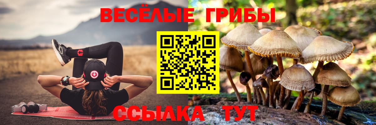 Полевской  Галлюциногенные грибы ЛСД  Вход с VPN 